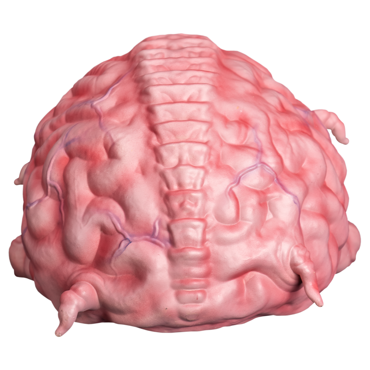 *PRE-ORDER* Teenage Mutant Ninja Turtles -  Krang Prop